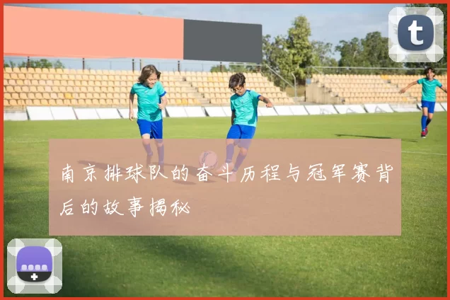 南京排球队的奋斗历程与冠军赛背后的故事揭秘