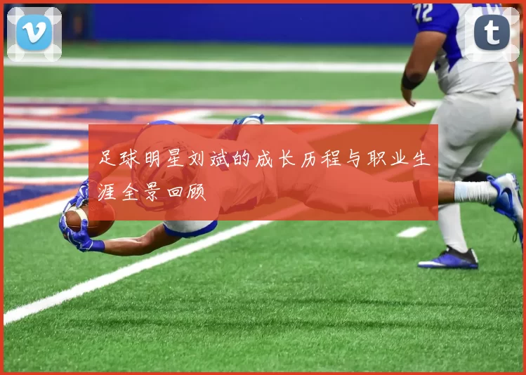 足球明星刘斌的成长历程与职业生涯全景回顾