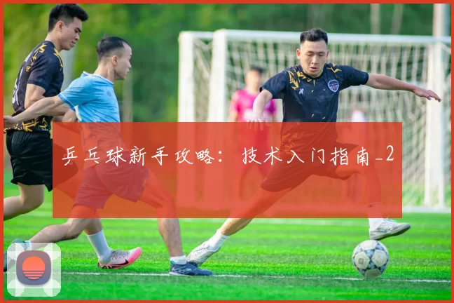 乒乓球新手攻略：技术入门指南_2
